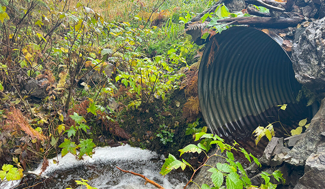Kasaan Access Road Fish Passage Improvements