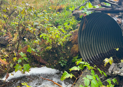 Kasaan Access Road Fish Passage Improvements