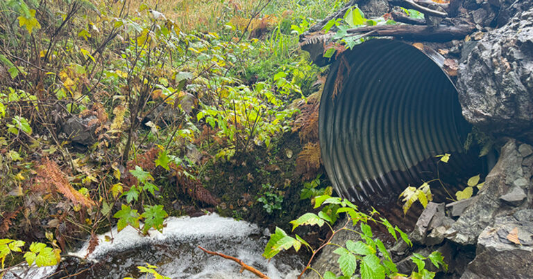 Kasaan Access Road Fish Passage Improvements