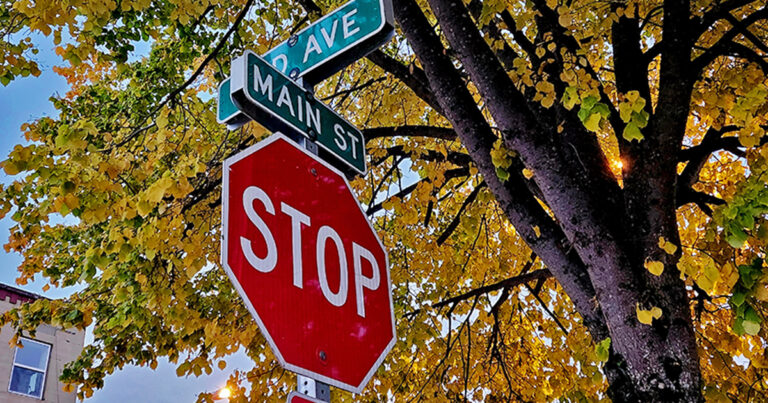 Safe Streets and Roads for All (SS4A)